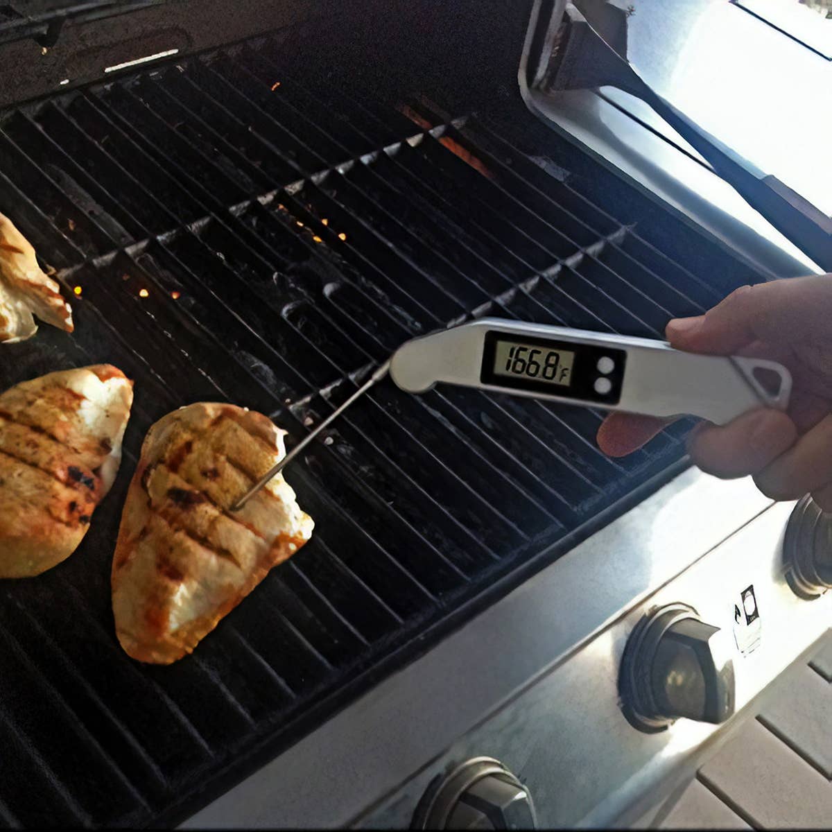 Digital Food Thermo: Silver