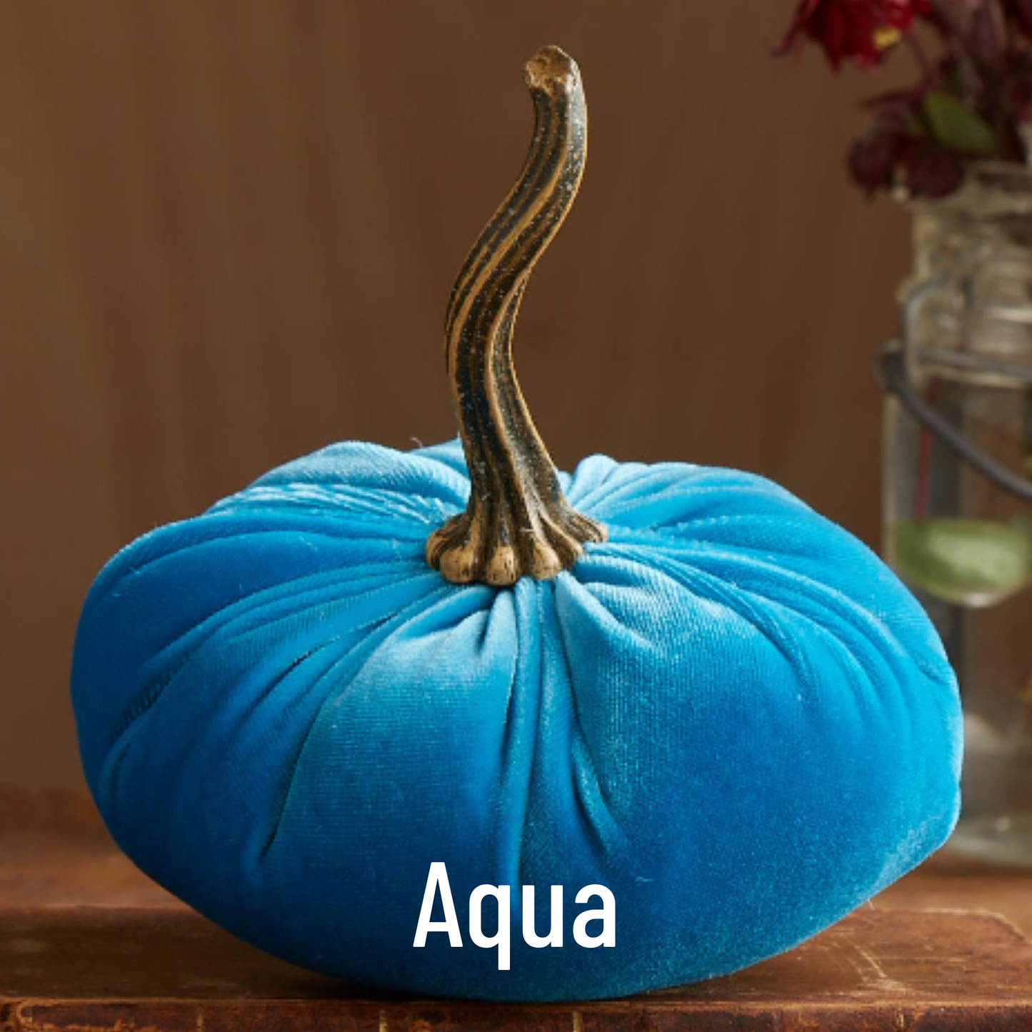 Pumpkin Large Velvet: Bronze