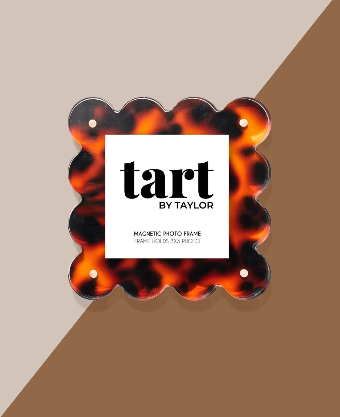 Mini Tortoise Acrylic Picture Frame