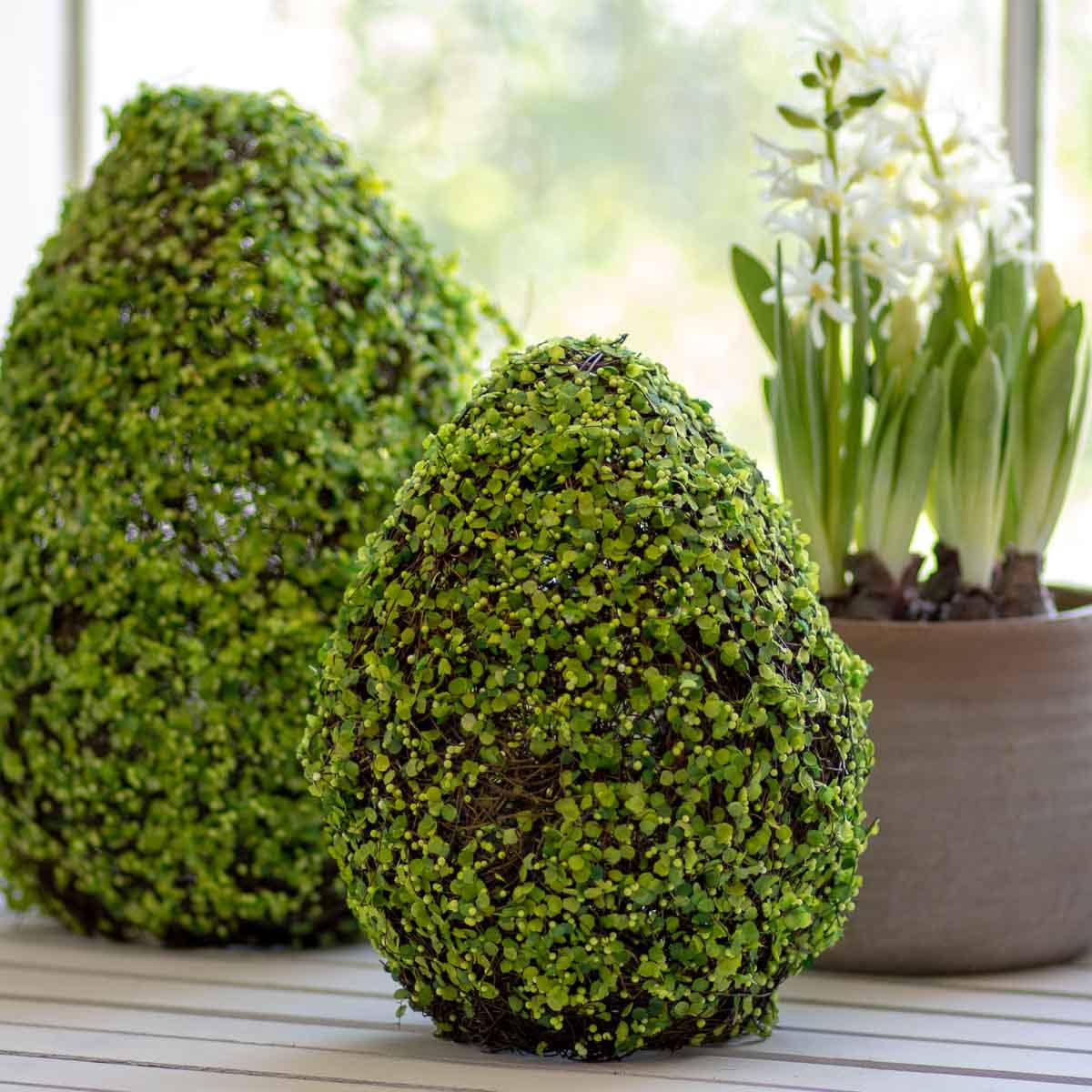 Belmont Egg Decor Green/Brown 8x11
