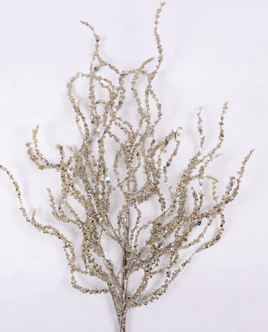Curly Willow- Platinum