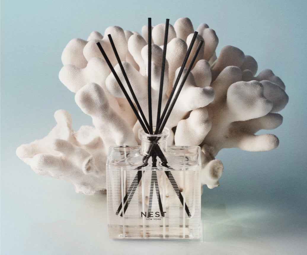 Ocean Mist & Sea Salt Reed Diffuser
