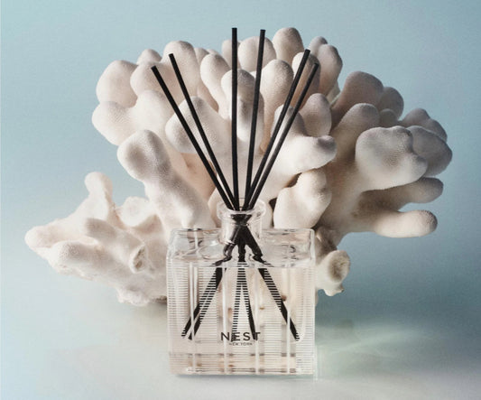 Ocean Mist & Sea Salt Reed Diffuser