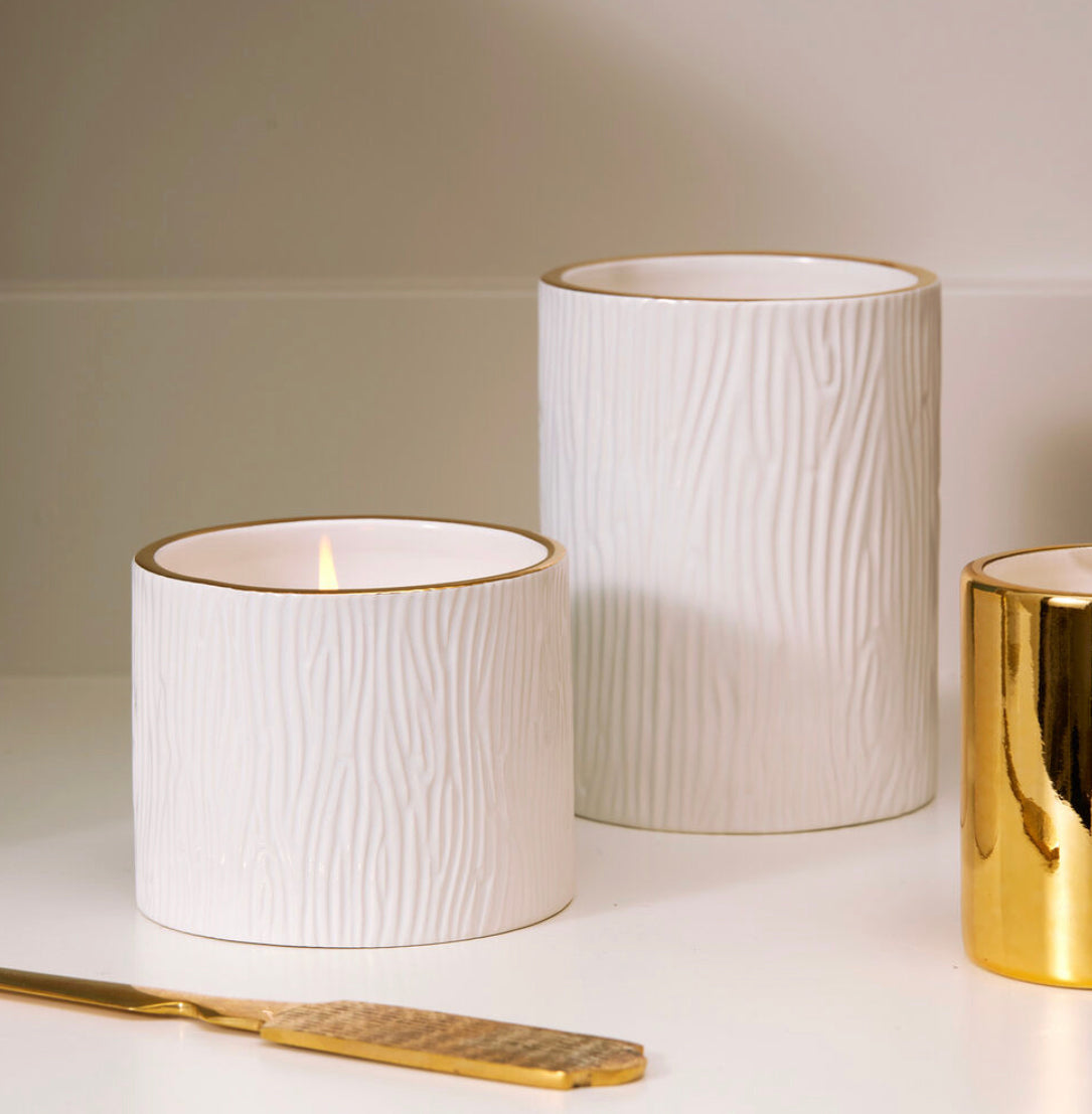 Frasier Fir Petite Gilded Ceramic 6oz Candle