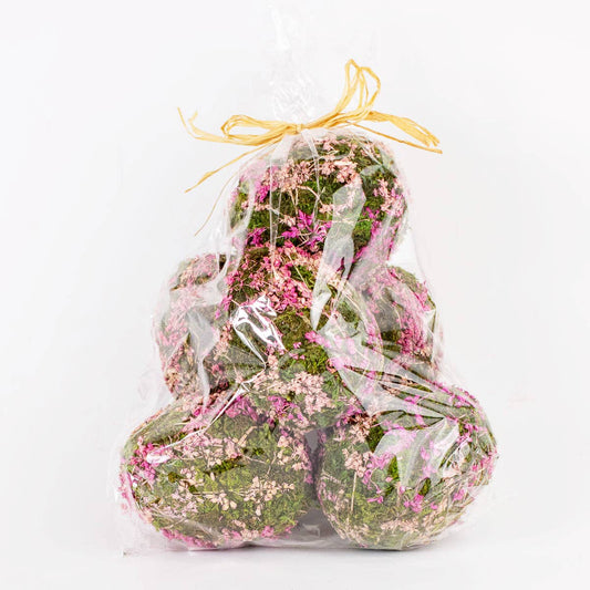 Eva Moss Eggs Green/Pink 3x4.5