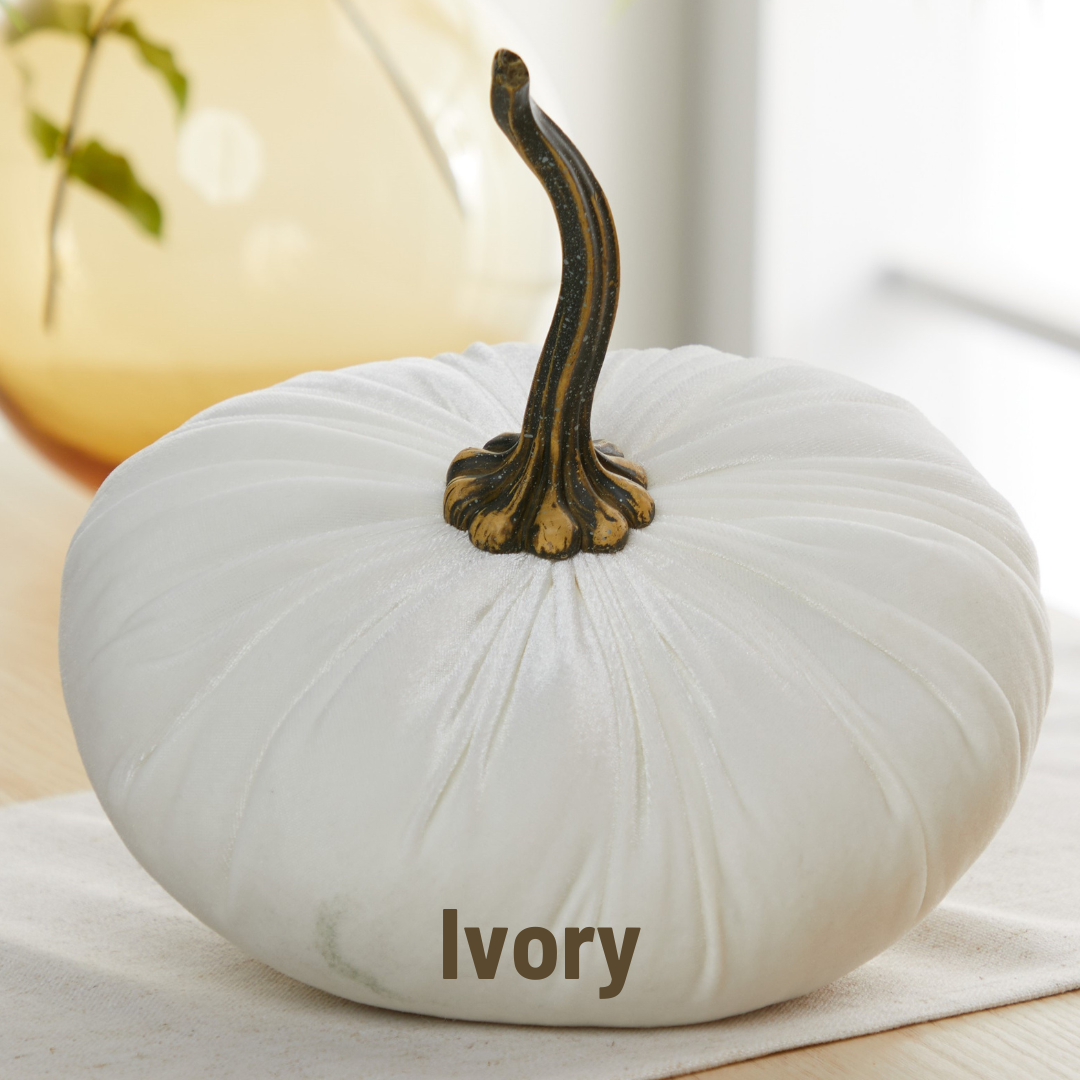 Pumpkin Extra Large Velvet, Fall Accent, Thoughtful Gift: Bronze
