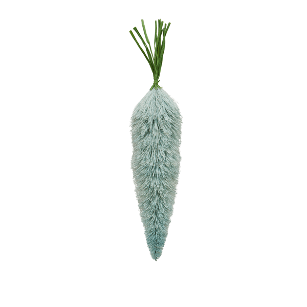 Bottle Brush Carrot