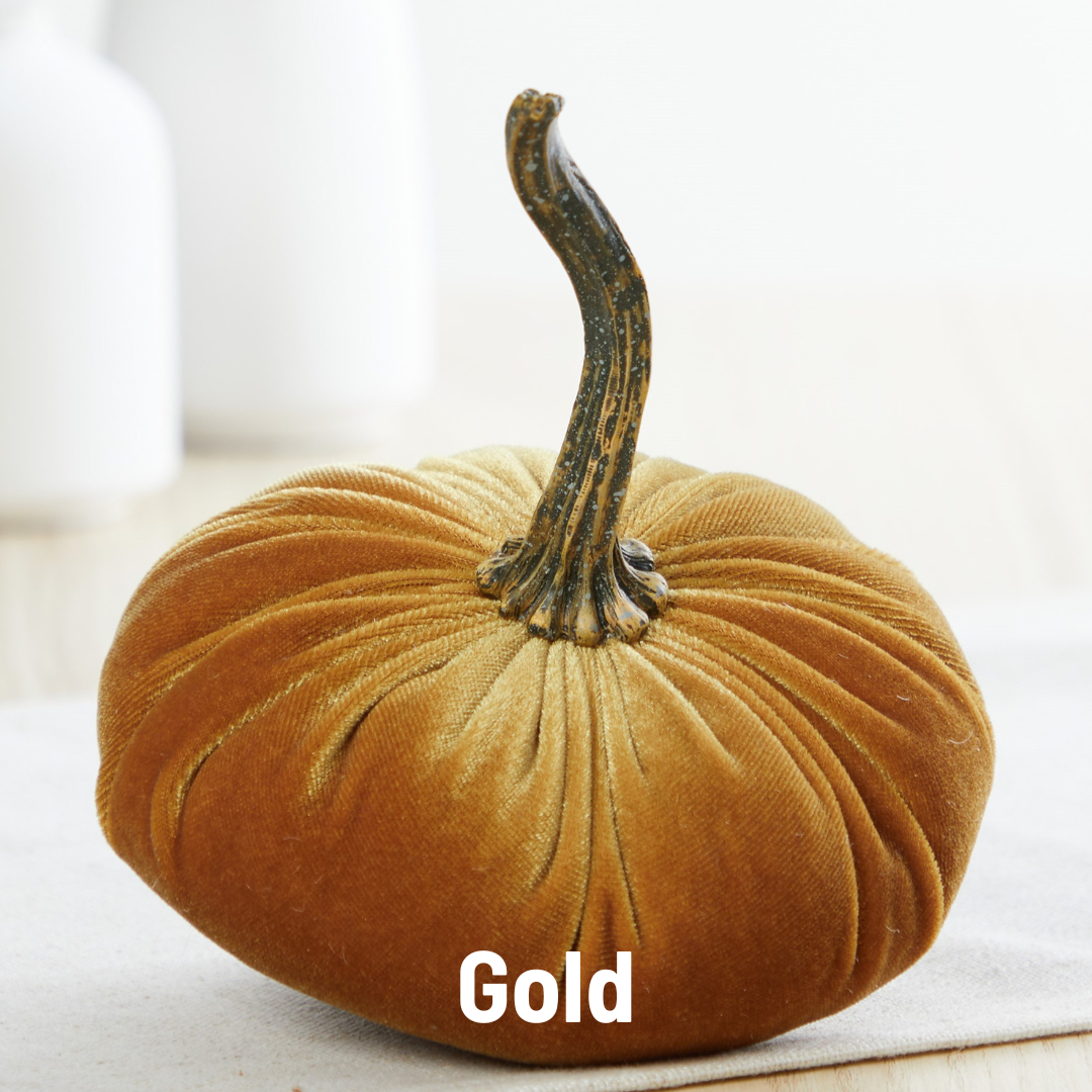 Pumpkin Small Velvet: Avocado