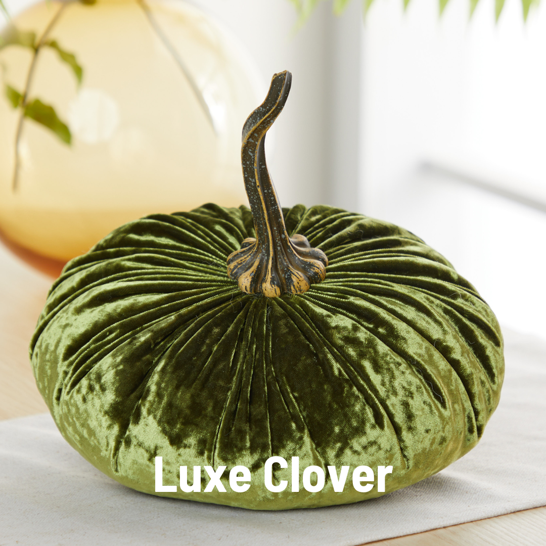 Pumpkin Extra Large Velvet, Fall Accent, Thoughtful Gift: Bronze