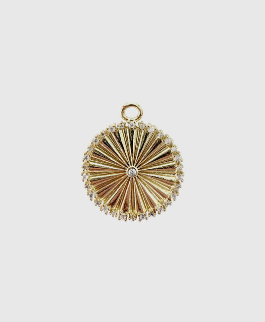 Large Coin Charm