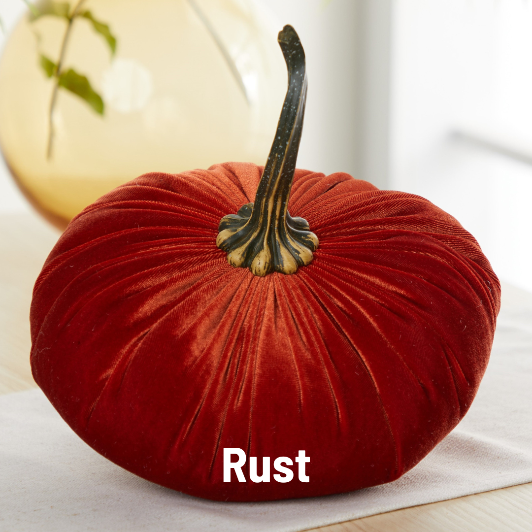 Pumpkin Extra Large Velvet, Fall Accent, Thoughtful Gift: Olive