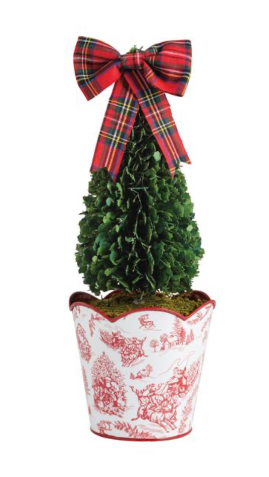 Toile Boxwood Topiary