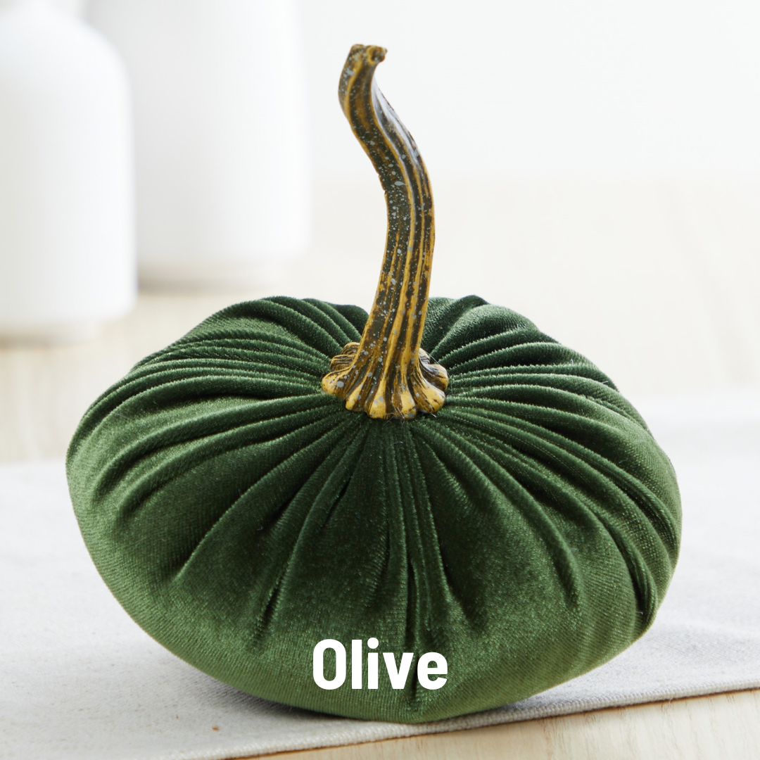 Pumpkin Small Velvet: Avocado