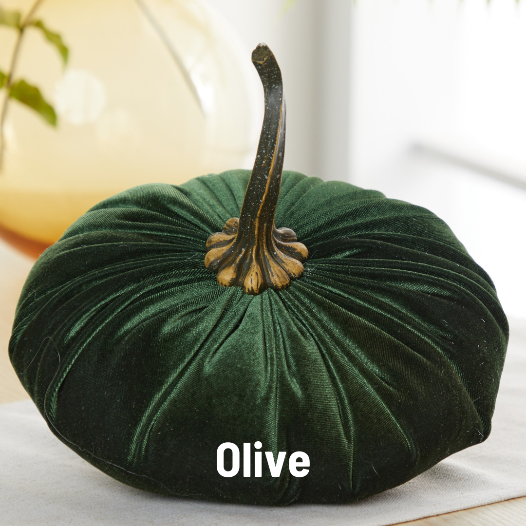 Pumpkin Extra Large Velvet, Fall Accent, Thoughtful Gift: Bronze