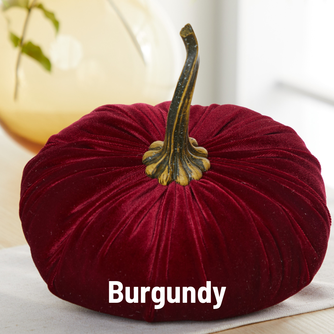 Pumpkin Extra Large Velvet, Fall Accent, Thoughtful Gift: Bronze
