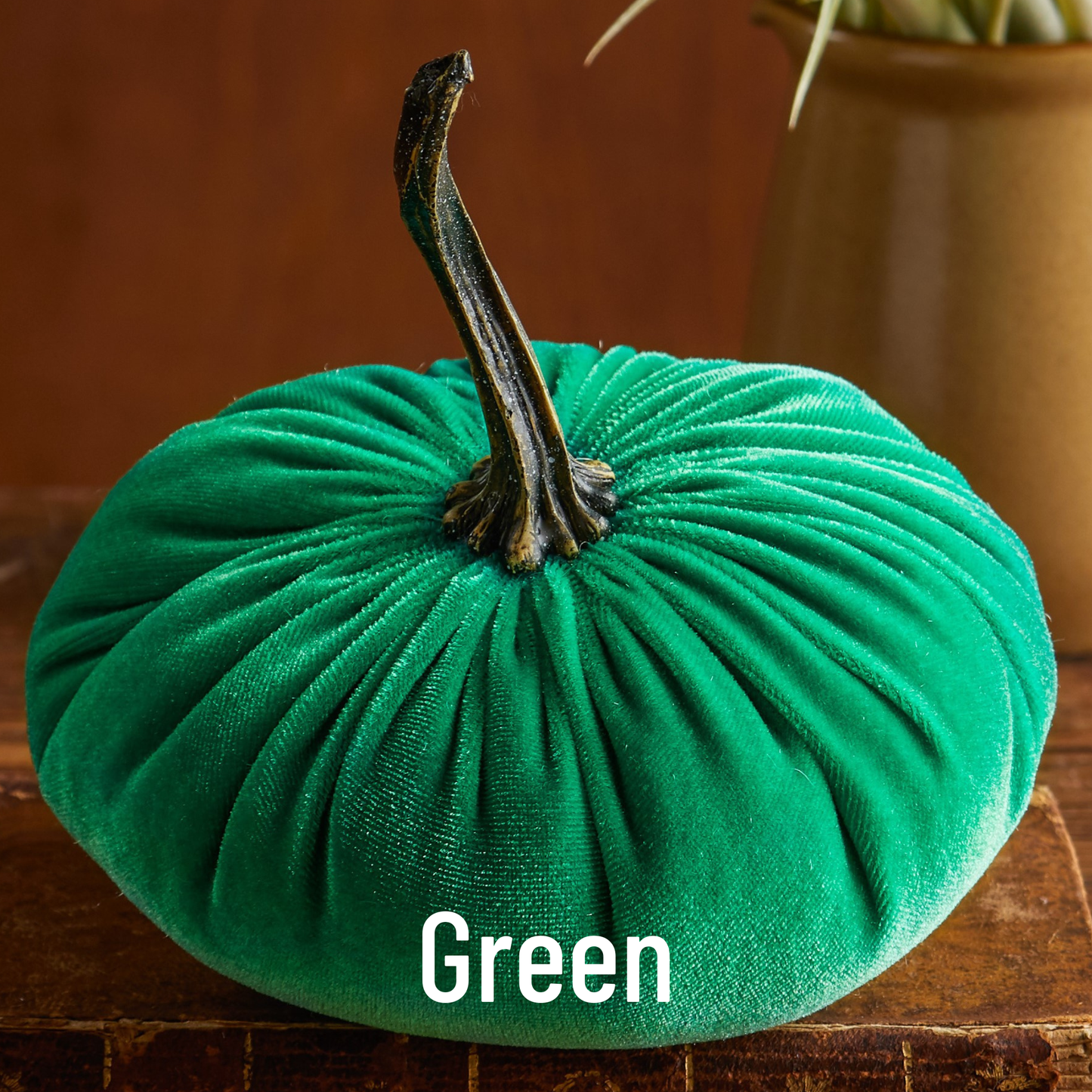 Pumpkin Large Velvet- Avocado
