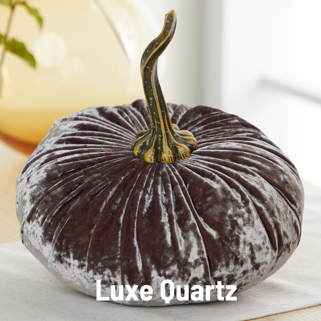 Pumpkin Extra Large Velvet, Fall Accent, Thoughtful Gift: Gold