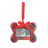 Bone Frame Ornament
