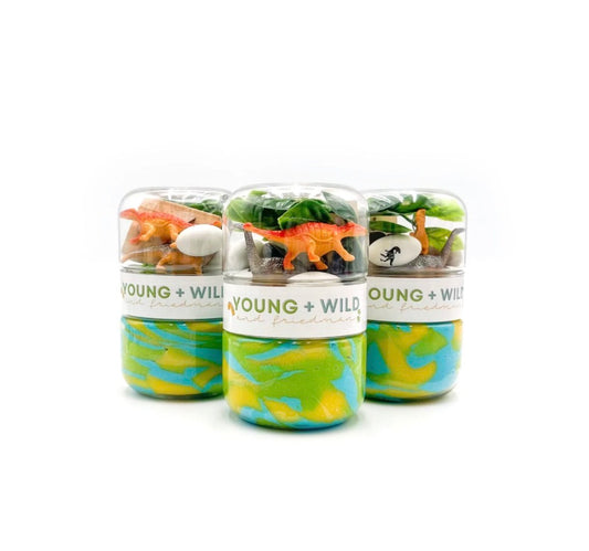Dinosaur Grab & Go Dough Jar
