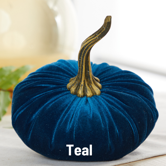 Pumpkin Large Velvet: Teal