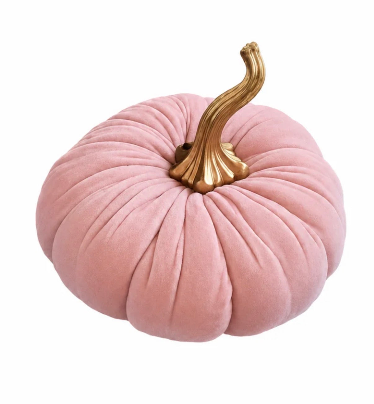 Velvet Pumpkin
