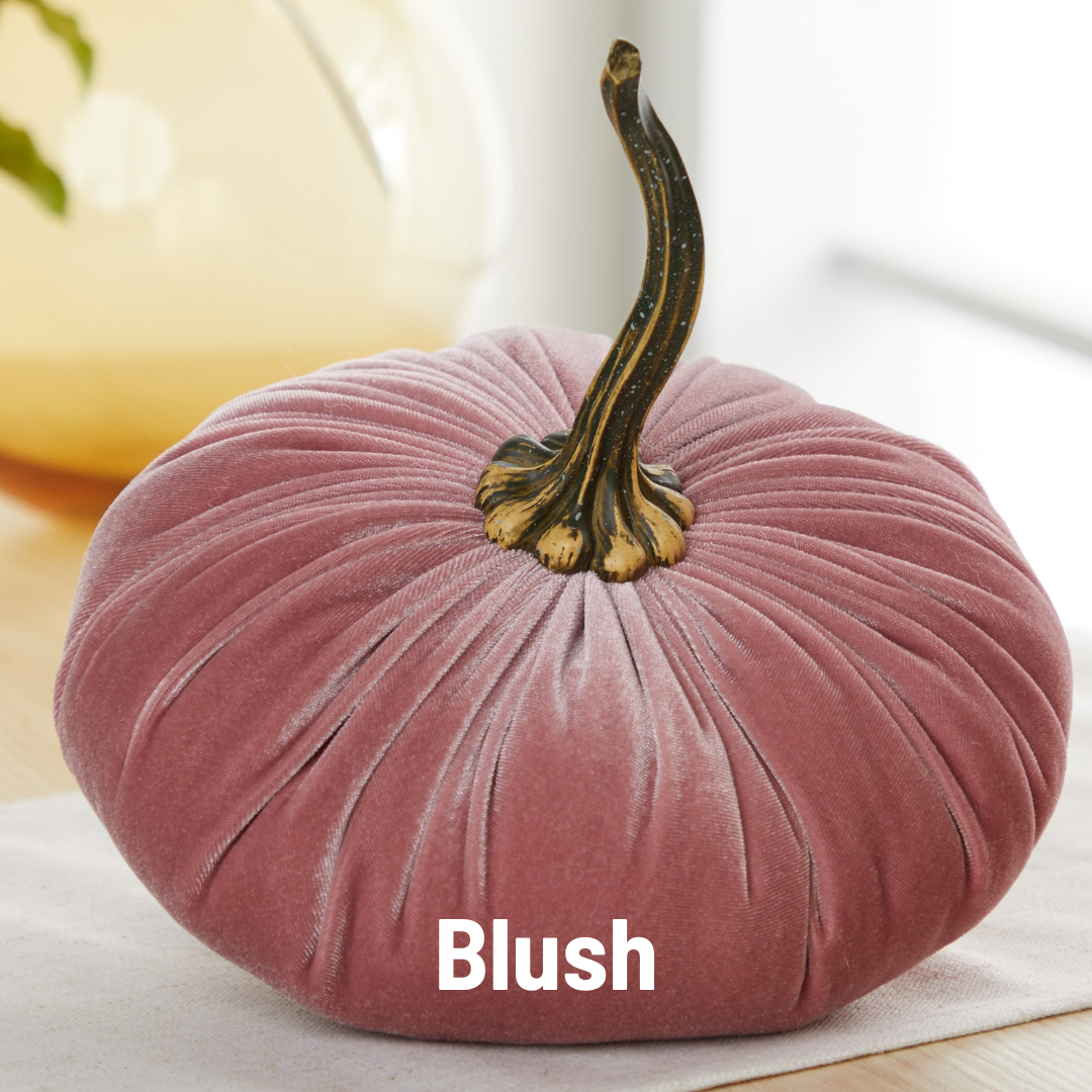 Pumpkin Extra Large Velvet, Fall Accent, Thoughtful Gift: Bronze