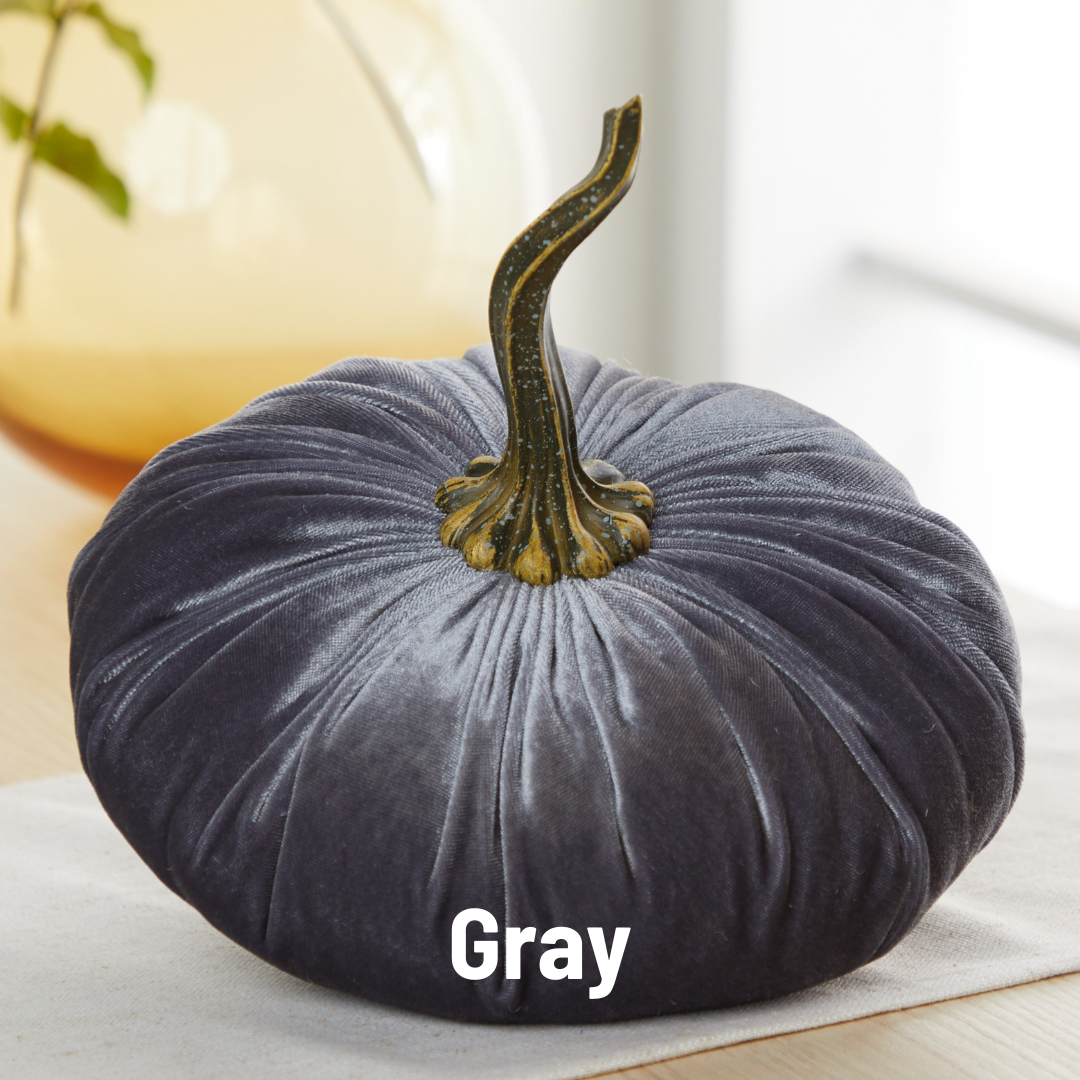 Pumpkin Extra Large Velvet, Fall Accent, Thoughtful Gift: Bronze