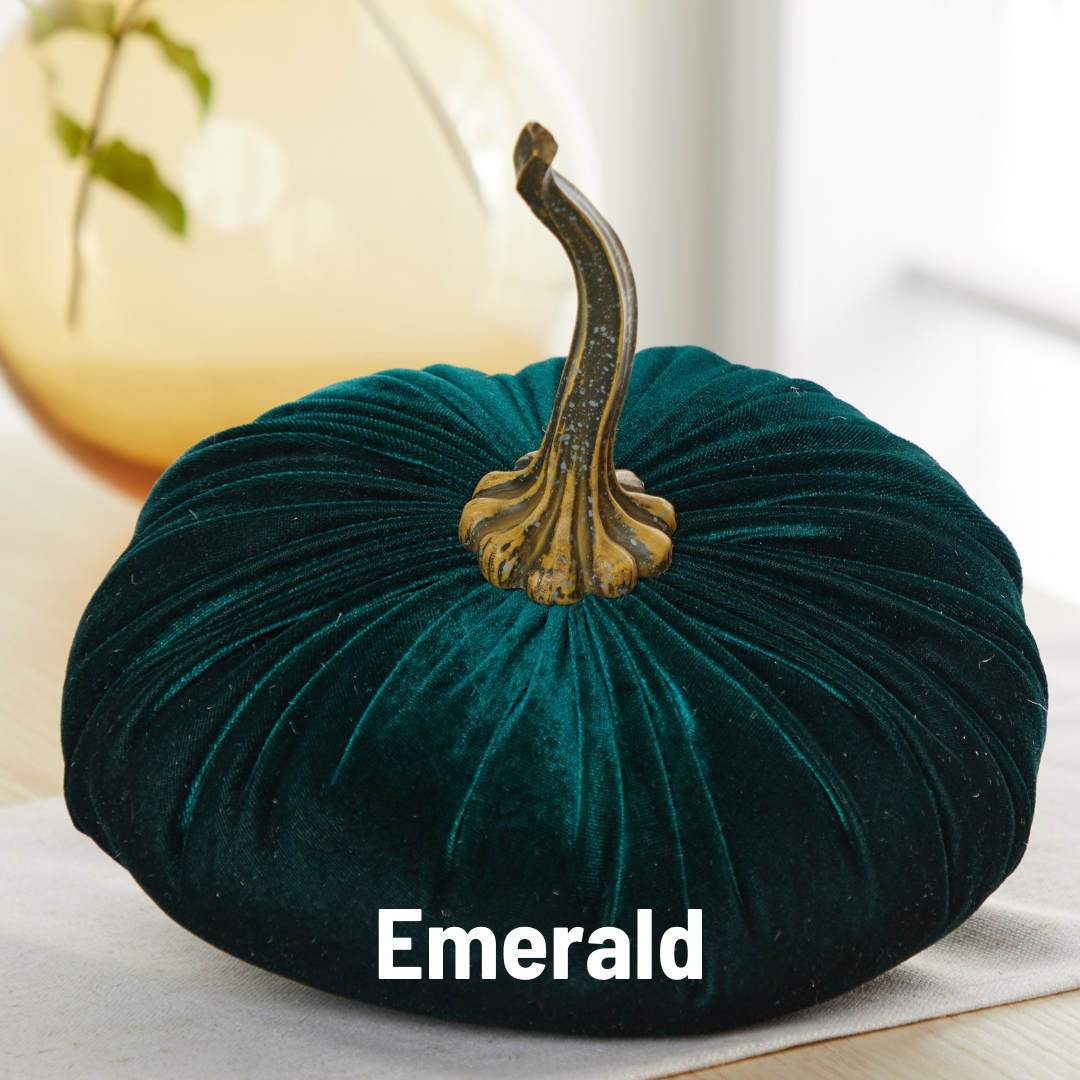 Pumpkin Extra Large Velvet, Fall Accent, Thoughtful Gift: Bronze