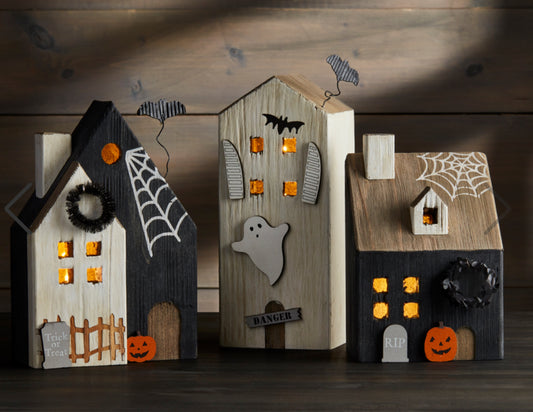 Danger Light Up Haunted House