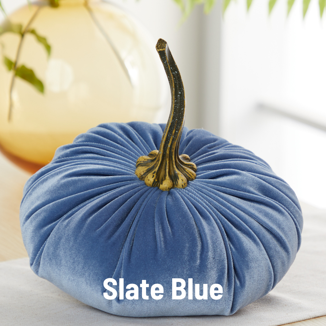Pumpkin Extra Large Velvet, Fall Accent, Thoughtful Gift: Bronze
