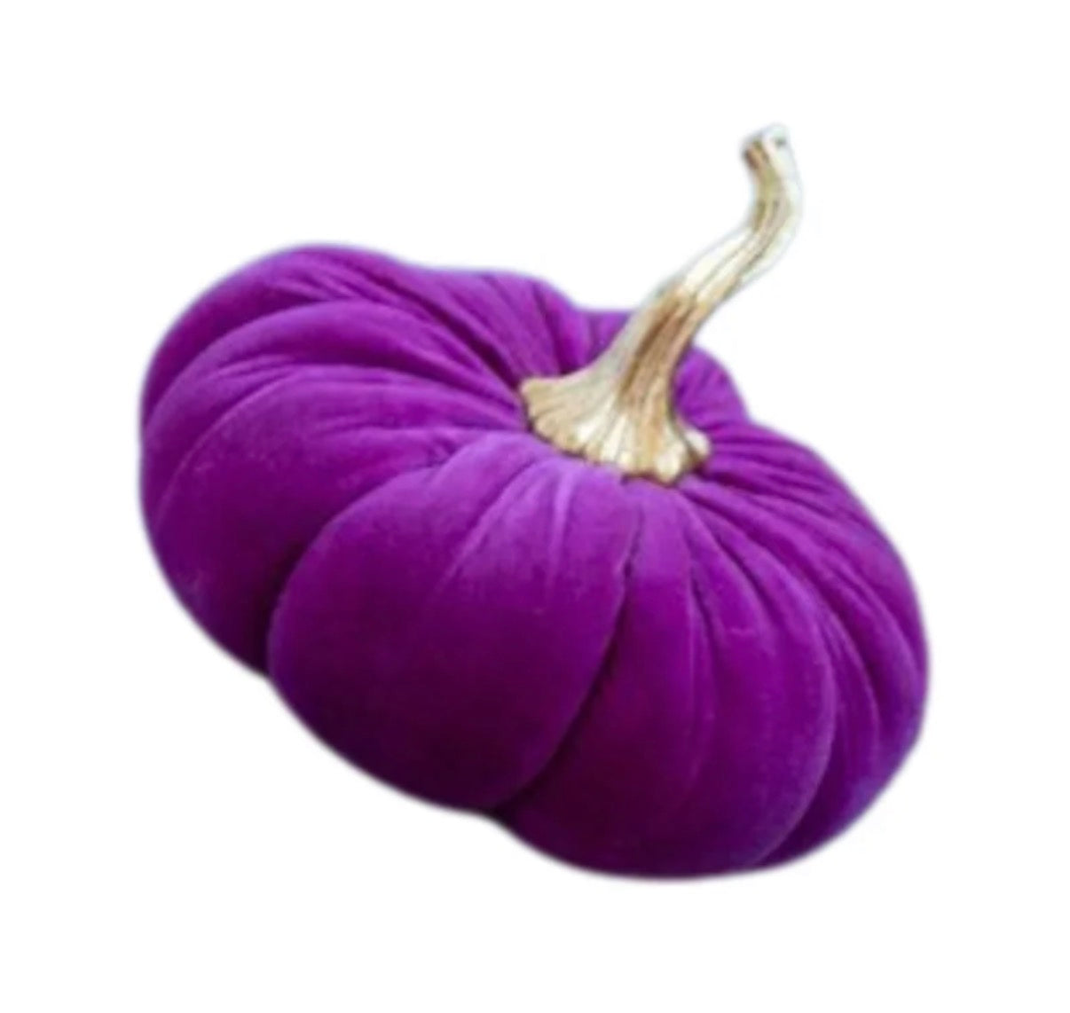 Velvet Pumpkin