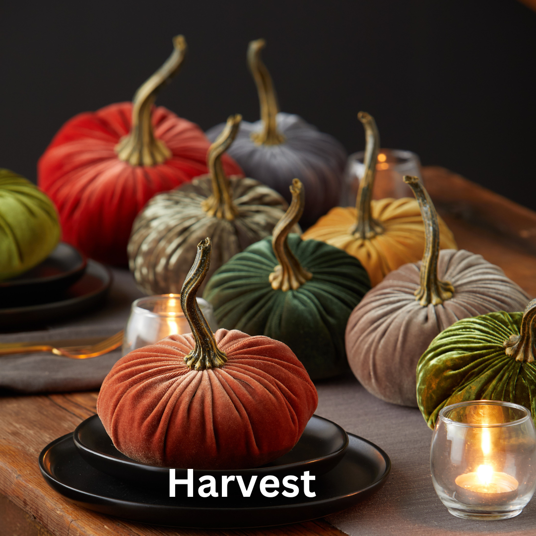 Pumpkin Small Velvet: Avocado