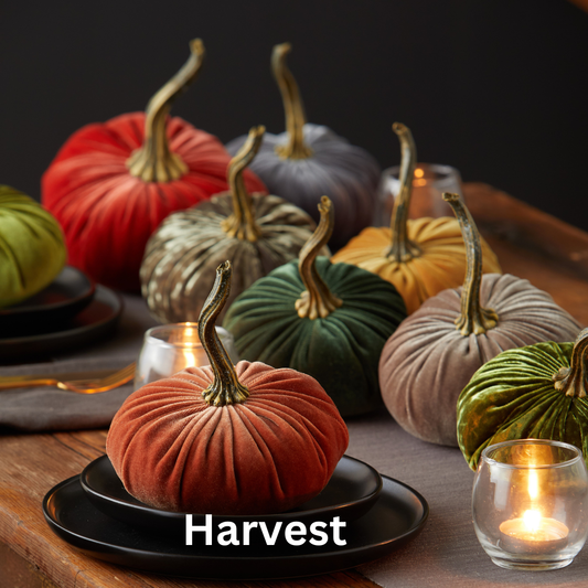 Pumpkin Small Velvet: Bronze