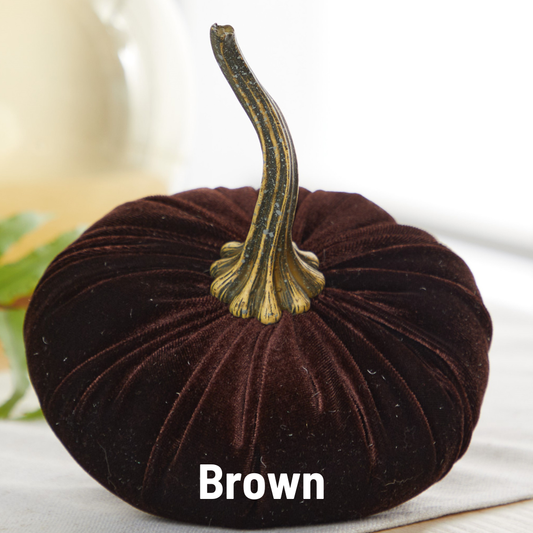 Pumpkin Large Velvet: Brown