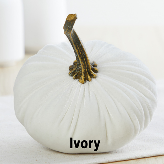 Pumpkin Small Velvet: Ivory