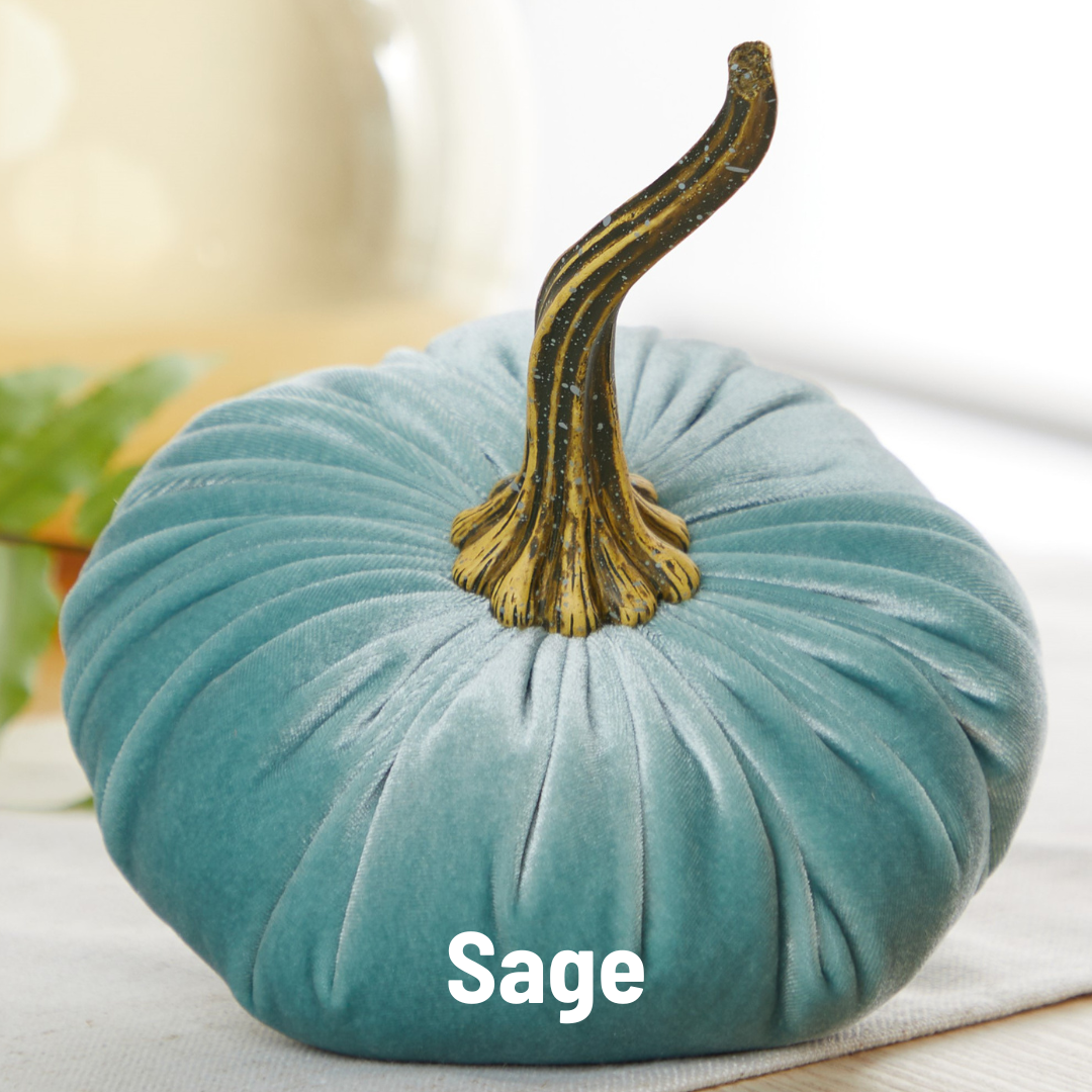 Pumpkin Large Velvet- Avocado