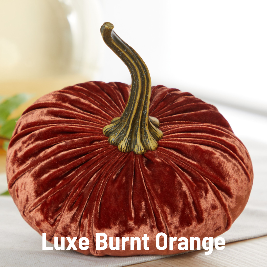 Pumpkin Large Velvet, Fall Mantel Decor, Halloween Table: Harvest