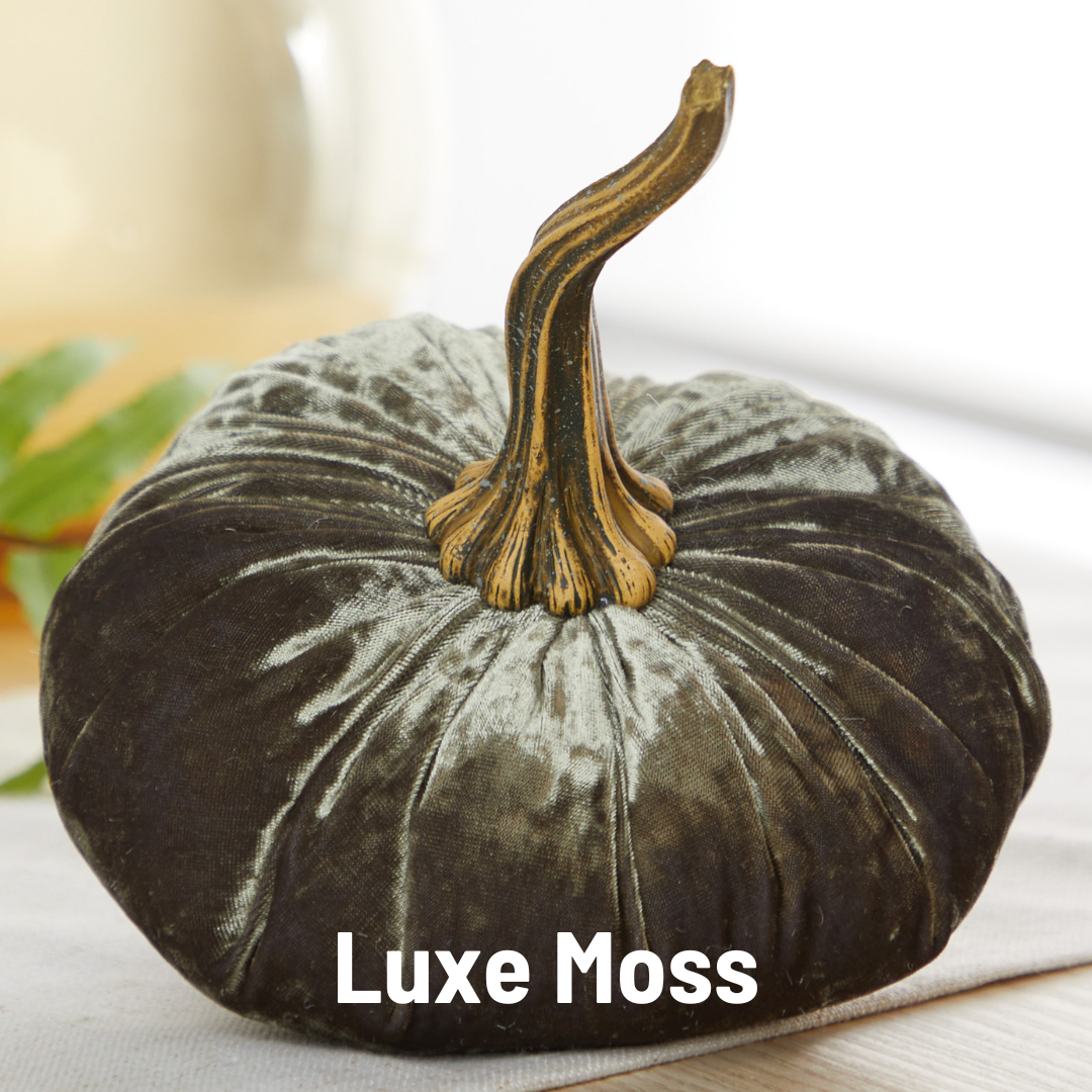 Pumpkin Large Velvet- Avocado