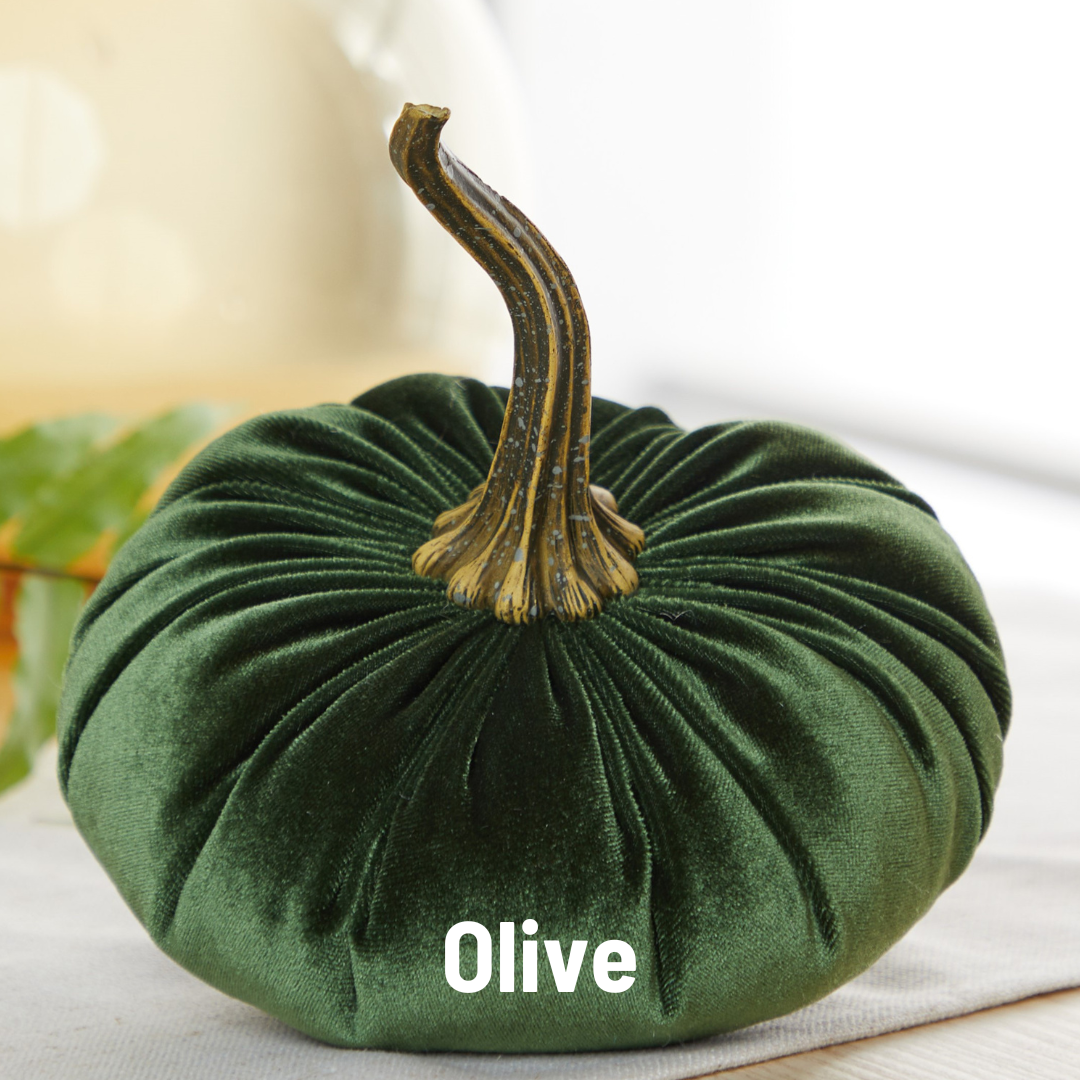 Pumpkin Large Velvet- Avocado