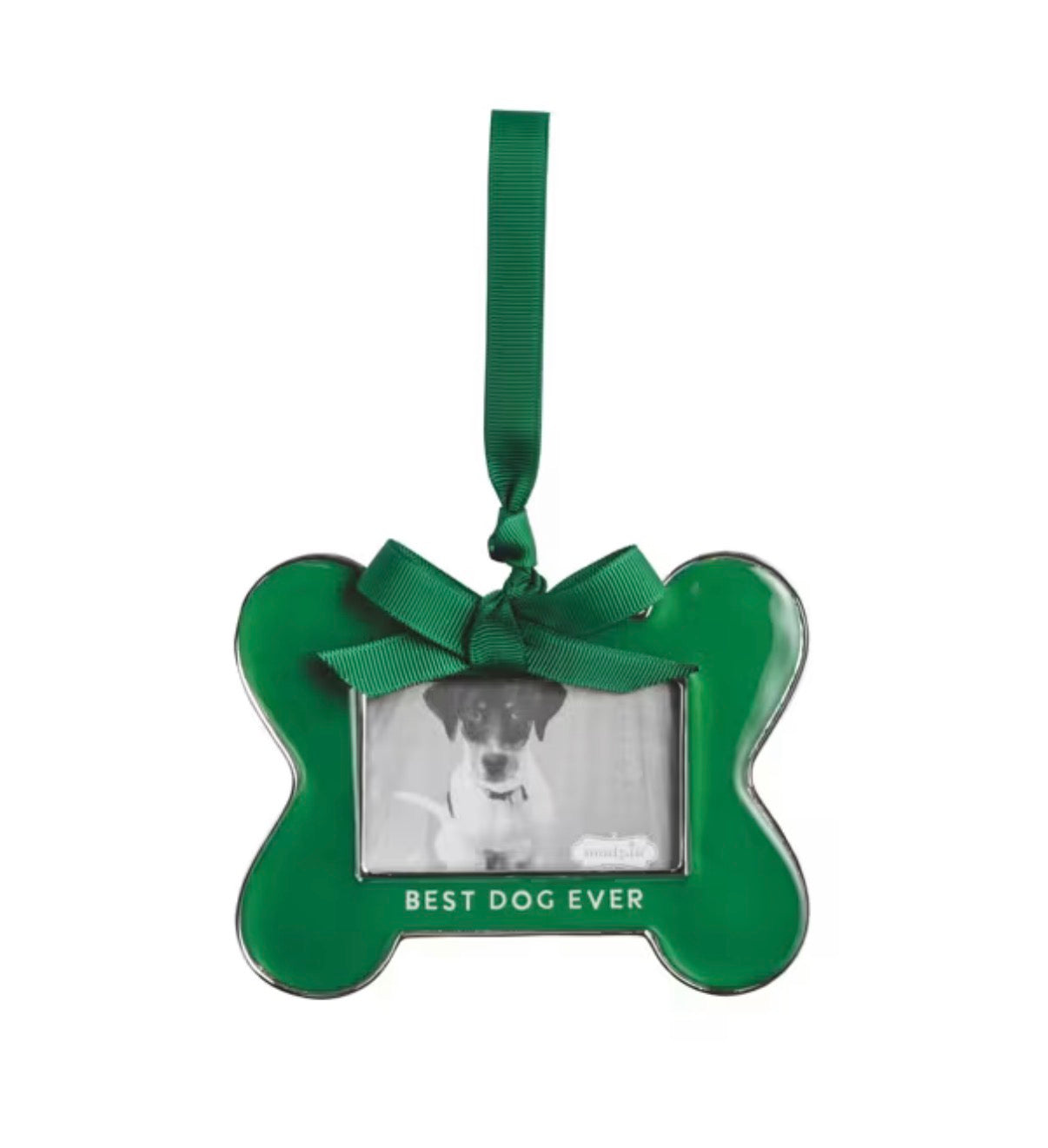 Bone Frame Ornament