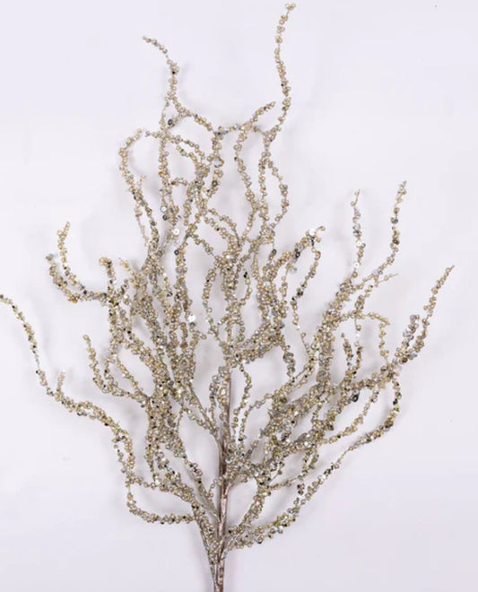 Curly Willow- Platinum