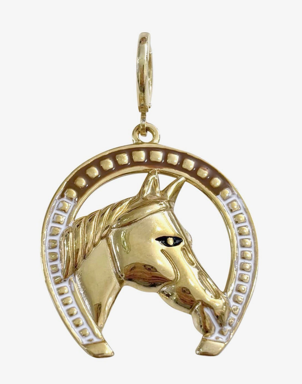 Large Removable Charms