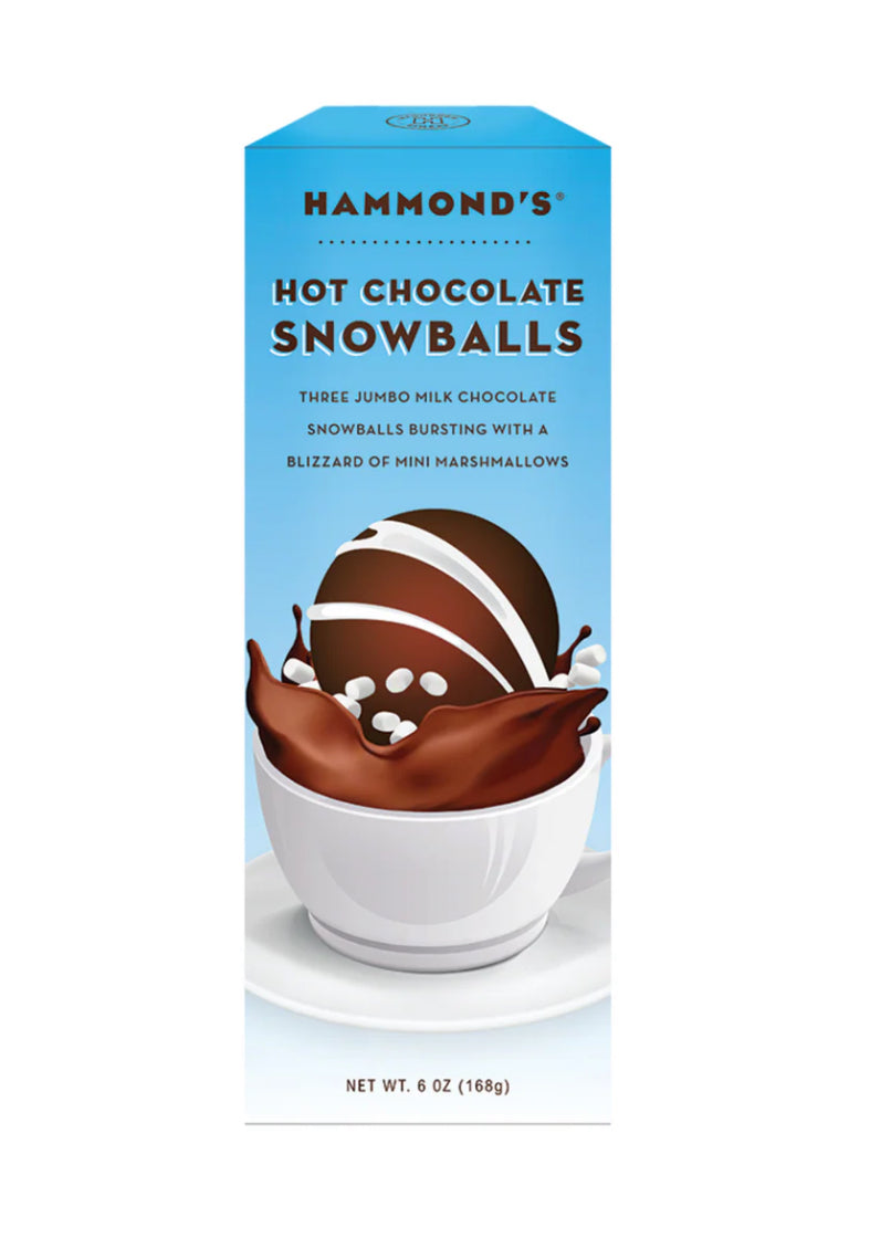 Hot Chocolate Snowballs