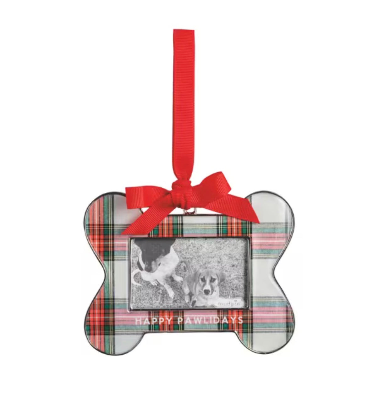 Bone Frame Ornament