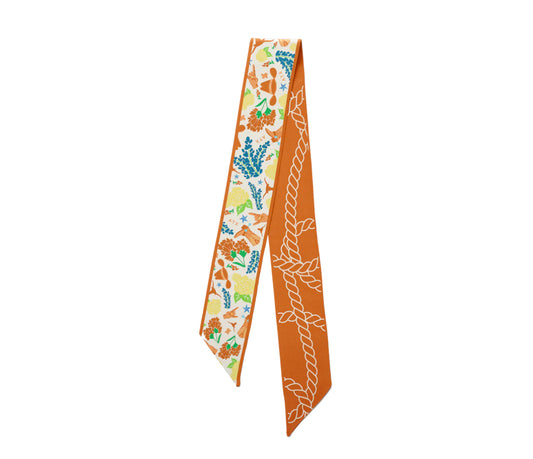 Texas Longhorns Skinny Scarf