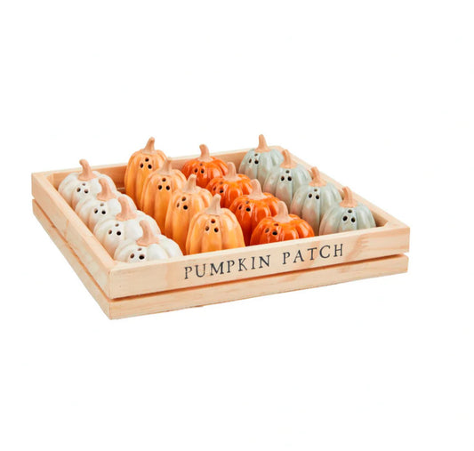 Pumpkin Salt and Pepper Shakers