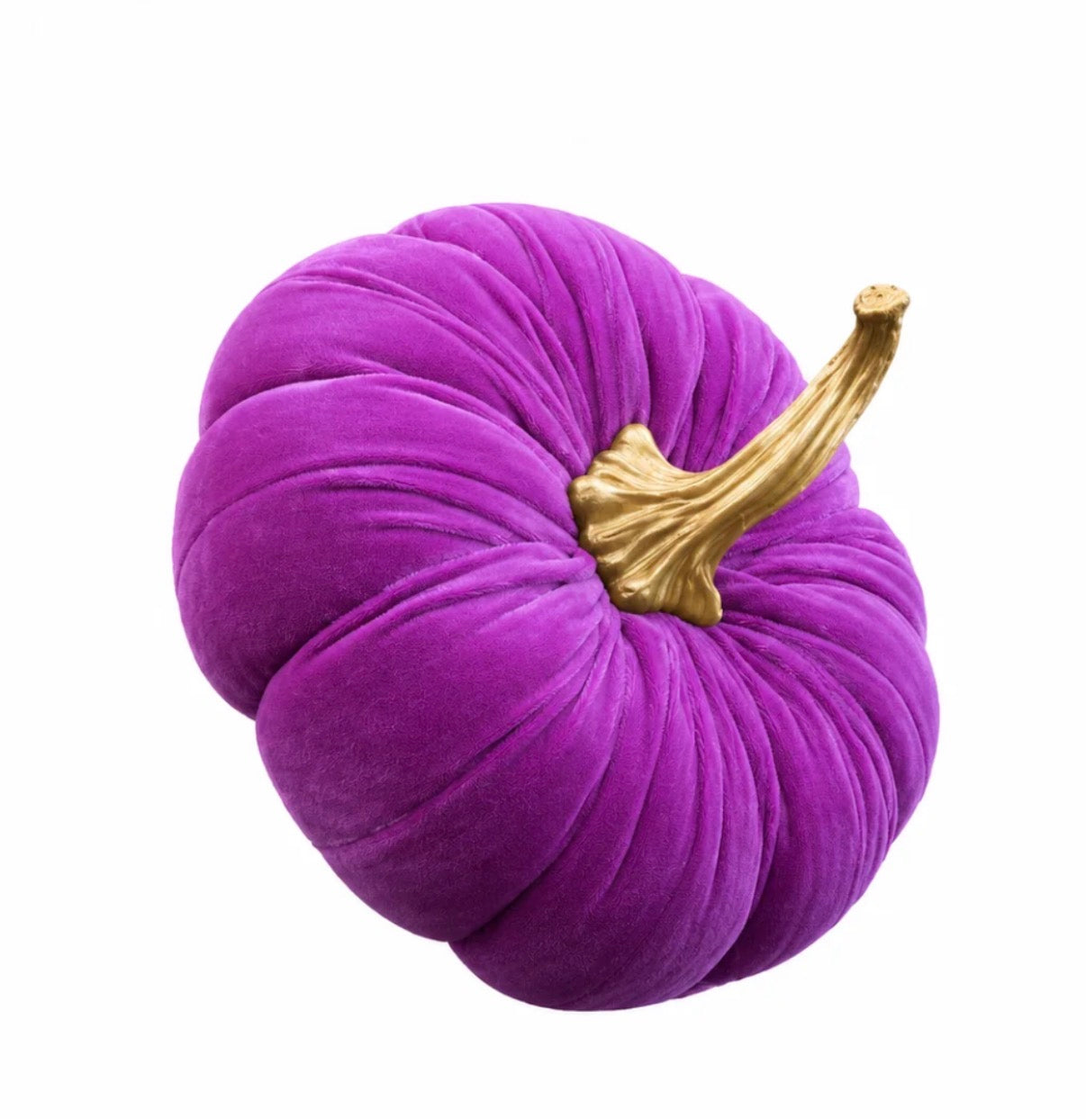 Velvet Pumpkin