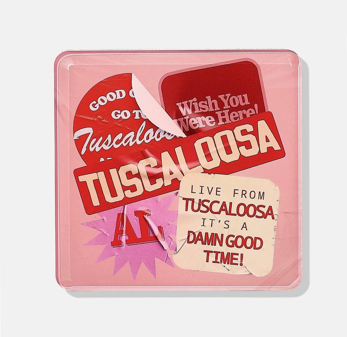 New Tart Collegiate Coasters