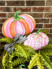 Beck’s Pink and Orange Pumpkins