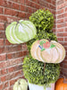 Autumn Feast Pumpkin